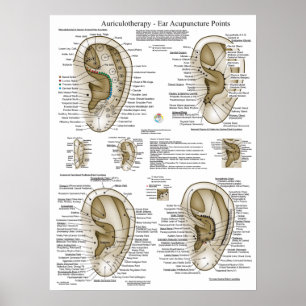 Auriculotherapy Ear Acupuncture Points Chart
