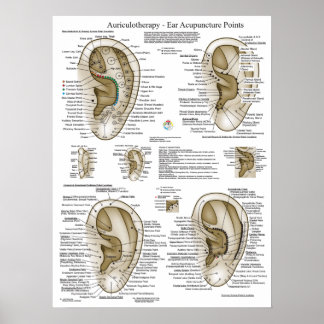 Auriculotherapy Ear Acupuncture Points Chart