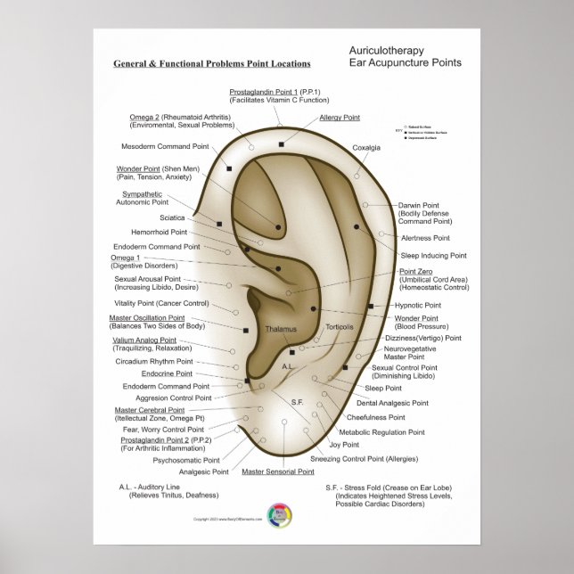 Auriculotherapy Ear Acupuncture Poster (Front)