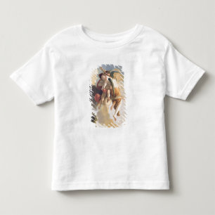 Aurora Ascending the Heavens Toddler T-shirt