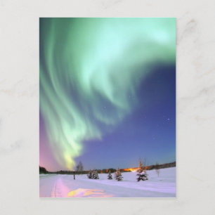 Aurora - Beautiful Northern Lights Postcard