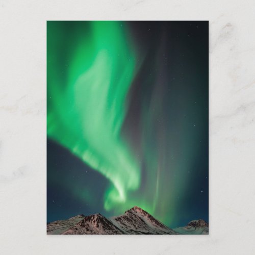 Aurora Borealis  Anchorage Alaska Postcard