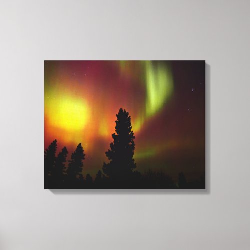 Aurora Borealis and Trees Canvas Print