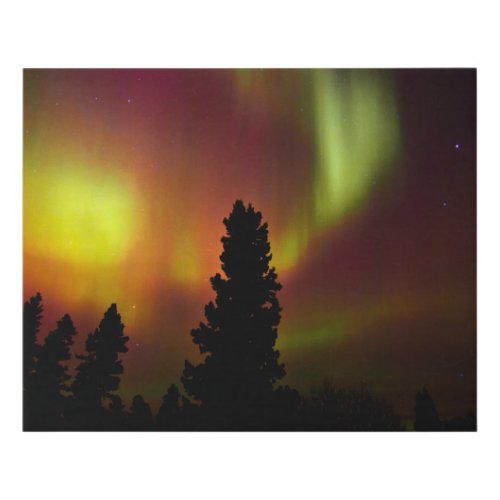 Aurora Borealis and Trees Faux Canvas Print