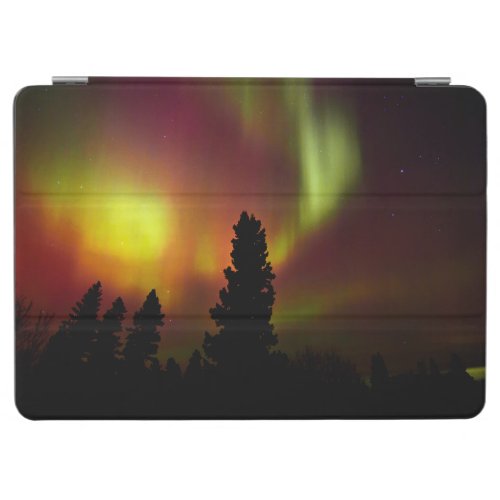 Aurora Borealis and Trees iPad Air Cover