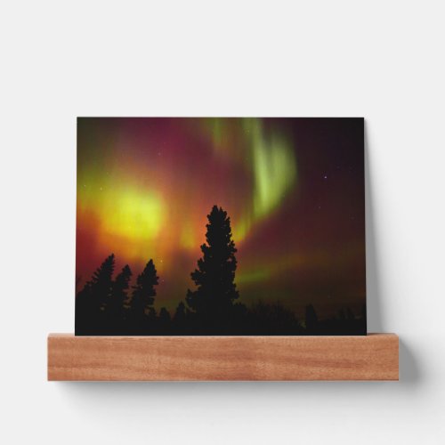 Aurora Borealis and Trees Picture Ledge
