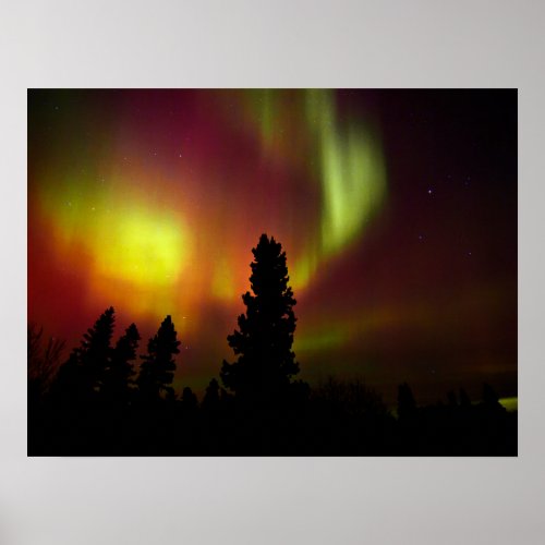 Aurora Borealis and Trees Poster