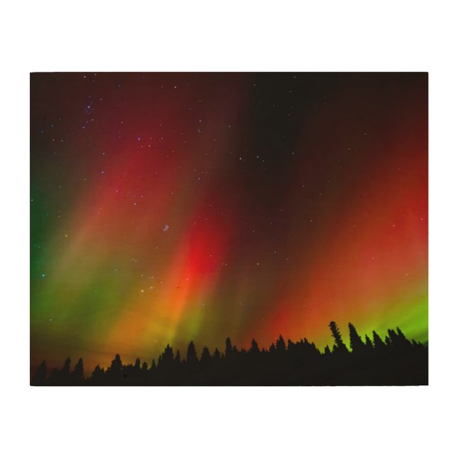 Aurora Borealis and trees Wood Wall Art (Front)