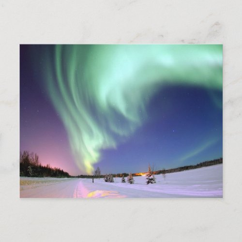 Aurora Borealis  Arctic Circle Postcard