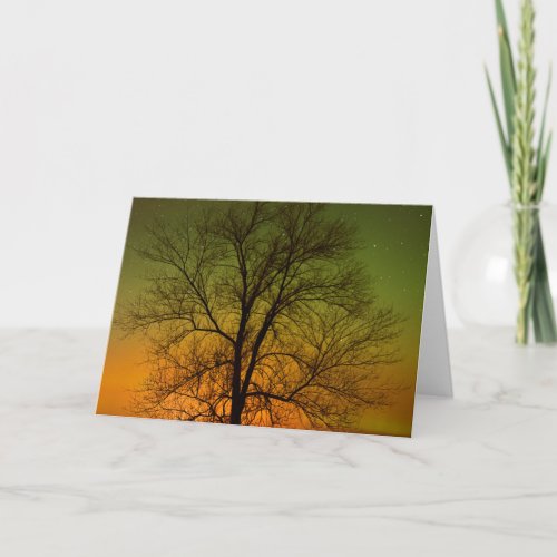 Aurora Borealis  Cottonwood Tree Card