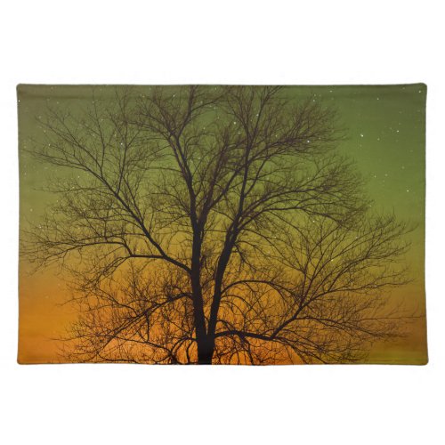 Aurora Borealis  Cottonwood Tree Cloth Placemat