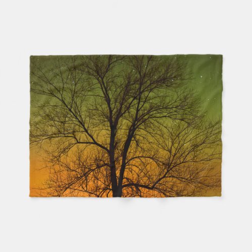Aurora Borealis  Cottonwood Tree Fleece Blanket