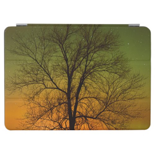 Aurora Borealis  Cottonwood Tree iPad Air Cover