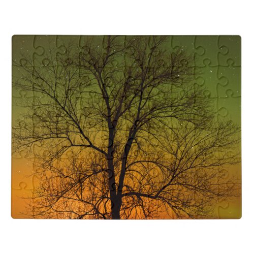 Aurora Borealis  Cottonwood Tree Jigsaw Puzzle