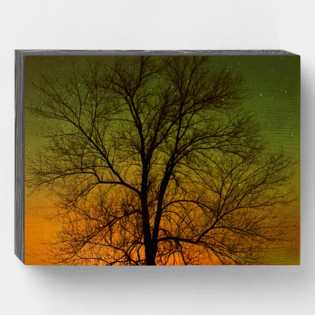 Aurora Borealis & Cottonwood Tree Wooden Box Sign (Front Horizontal)