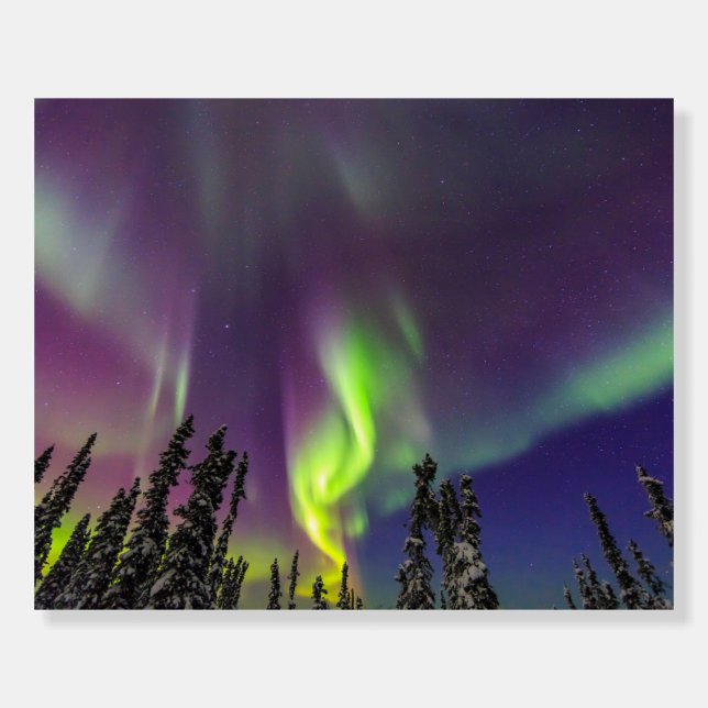 Aurora Borealis | Fairbanks, Alaska Foam Board (Front)