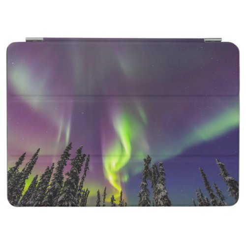 Aurora Borealis  Fairbanks Alaska iPad Air Cover