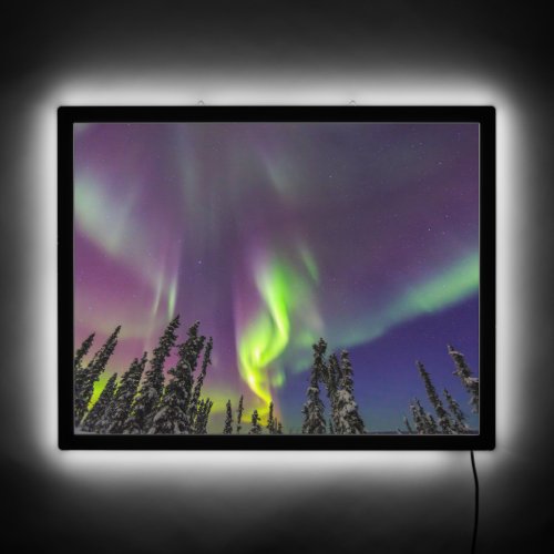 Aurora Borealis  Fairbanks Alaska LED Sign