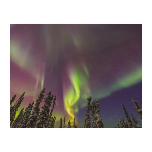 Aurora Borealis  Fairbanks Alaska Wood Wall Art