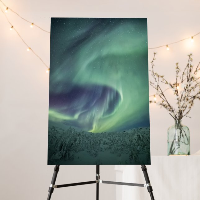 Aurora Borealis Foam Board (In Situ (Stand))