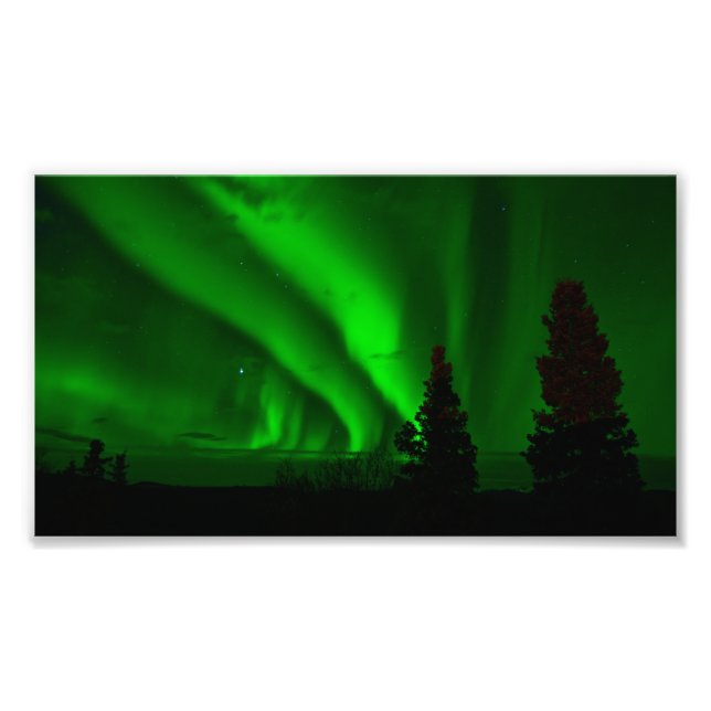 aurora-borealis green photo print (Front)