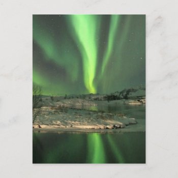 Aurora Borealis Iceland Postcard by thecoveredbridge at Zazzle