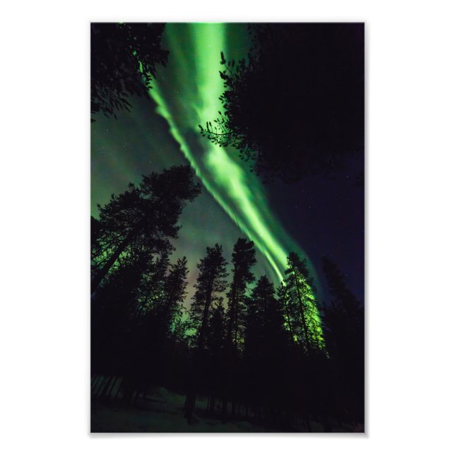 Aurora borealis in Finnish Lapland Photo Print (Front)