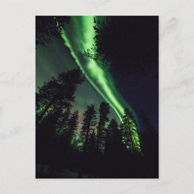 Aurora borealis in Finnish Lapland Postcard (Front)