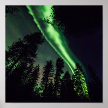 Aurora Borealis In Finnish Lapland Poster by JukkaHeilimo at Zazzle