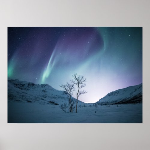 Aurora Borealis Night Poster