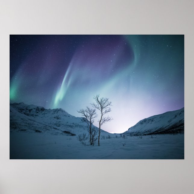 Aurora Borealis Night Poster (Front)