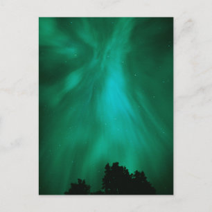 Aurora Borealis Nighttime   Ontario, Canada Postcard