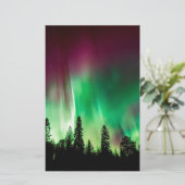 Aurora borealis northern lights (Standing Front)