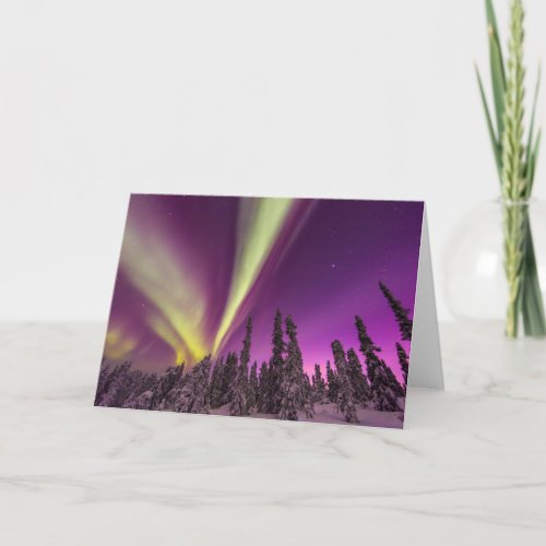 Aurora Borealis Northern Lights Fairbanks Alaska Card
