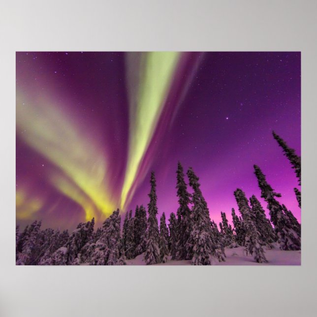 Aurora Borealis Northern Lights Fairbanks Alaska Poster (Front)