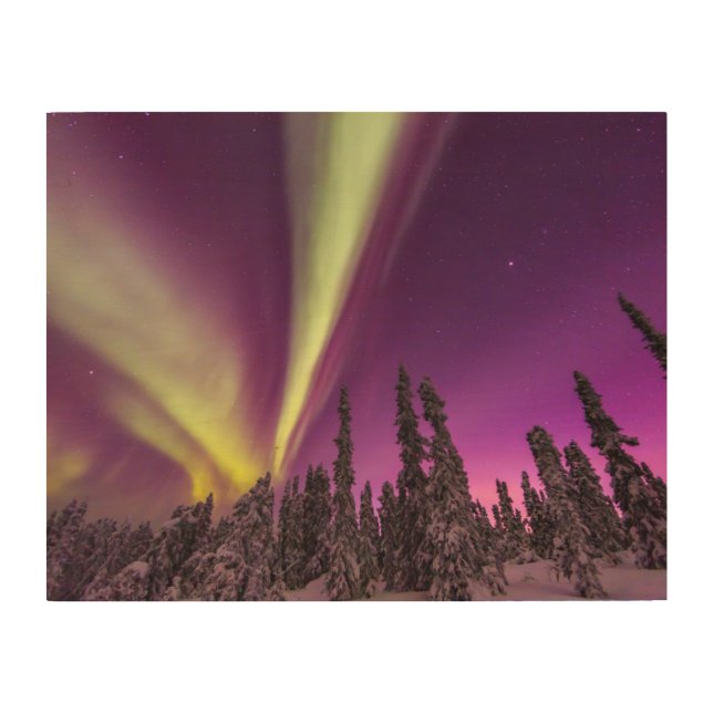 Aurora Borealis Northern Lights Fairbanks Alaska Wood Wall Art (Front)