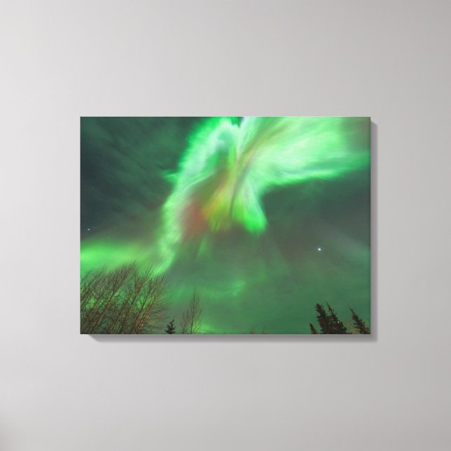 Aurora Borealis Northern Lights | Fairbanks Canvas Print (Front)
