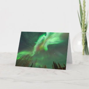 Aurora Borealis Northern Lights   Fairbanks Card