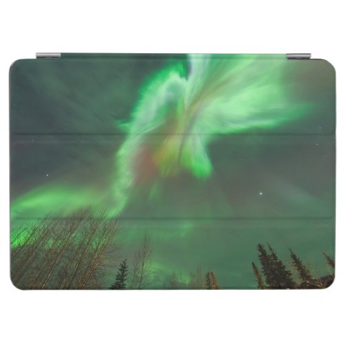 Aurora Borealis Northern Lights  Fairbanks iPad Air Cover