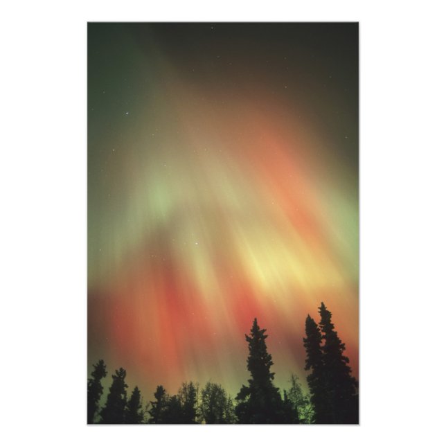 Aurora Borealis, Northern Lights, Fairbanks Photo Print (Front)