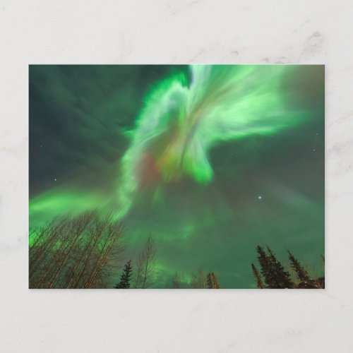 Aurora Borealis Northern Lights  Fairbanks Postcard