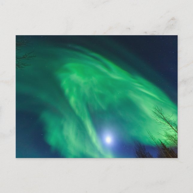 Aurora Borealis Northern Lights | Fairbanks Postcard (Front)