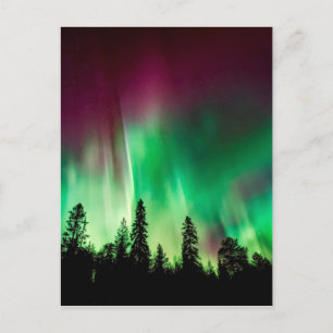 Aurora borealis northern lights postcard