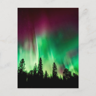 Aurora borealis northern lights postcard