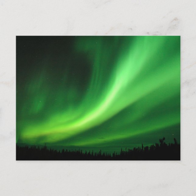 Aurora Borealis Northern Lights Postcard (Front)