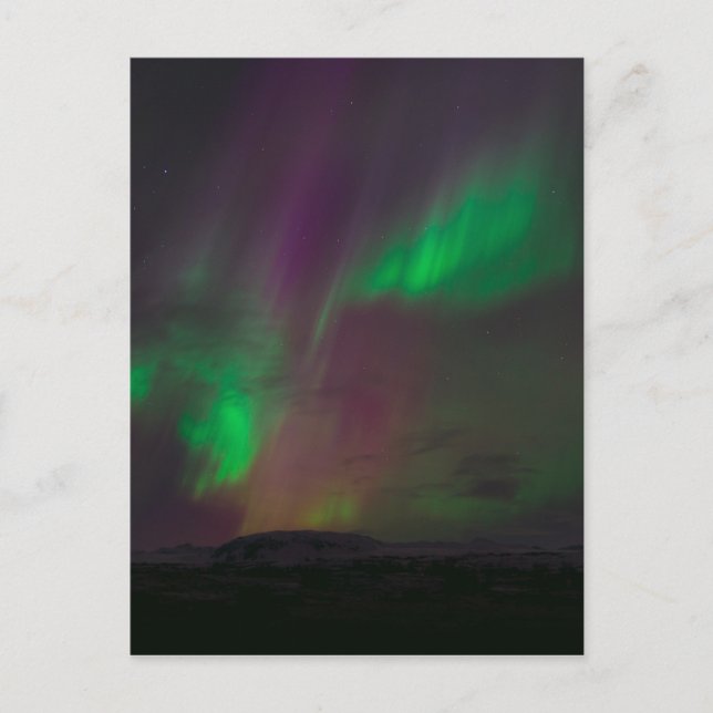 Aurora Borealis Northern Lights Trees Nature Lands Postcard (Front)