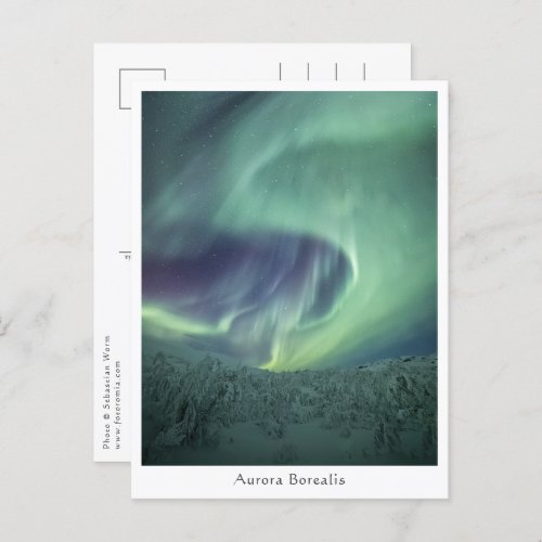 Aurora Borealis Norway Postcard