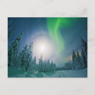 Aurora Borealis Postcard