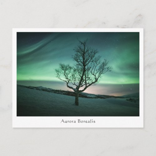 Aurora Borealis Postcard