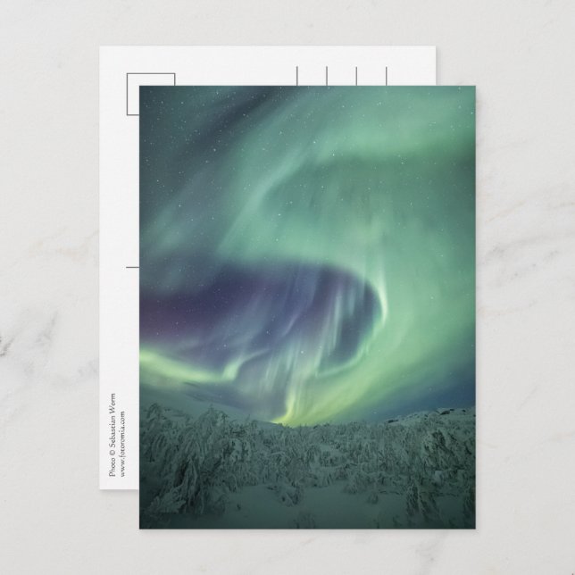 Aurora Borealis Postcard (Front/Back)